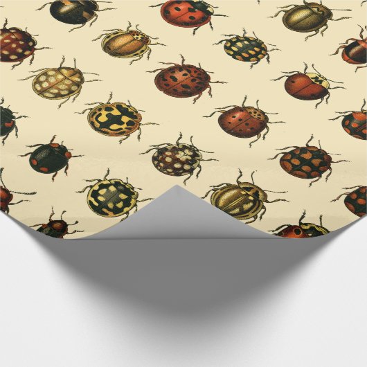 Reihe Marienkäfer Geschenkpapier (Ecke)