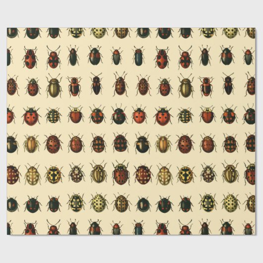 Reihe Marienkäfer Geschenkpapier (Flach)