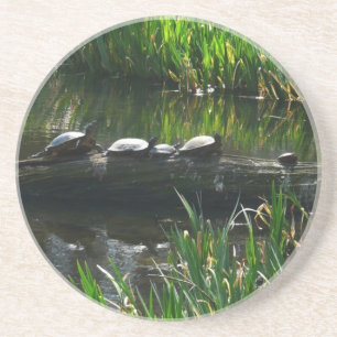 Reihe von grünen Naturfotos von Schildkröten Getränkeuntersetzer
