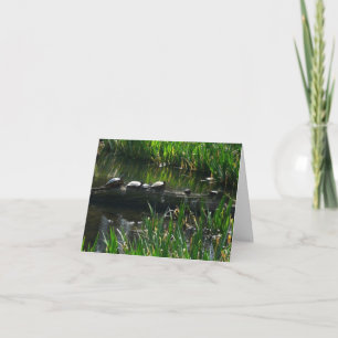 Reihe von grünen Naturfotos von Schildkröten Karte