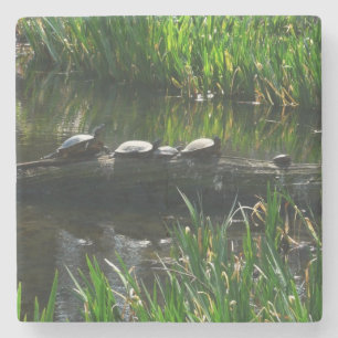 Reihe von grünen Naturfotos von Schildkröten Steinuntersetzer