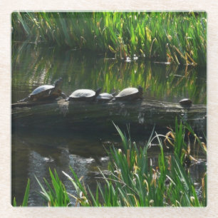 Reihe von grünen Schildkröten in der Natur Foto Glasuntersetzer