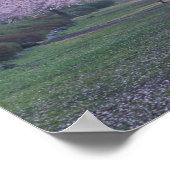 Reihe von Kirschblütenbäumen Poster (Ecke)