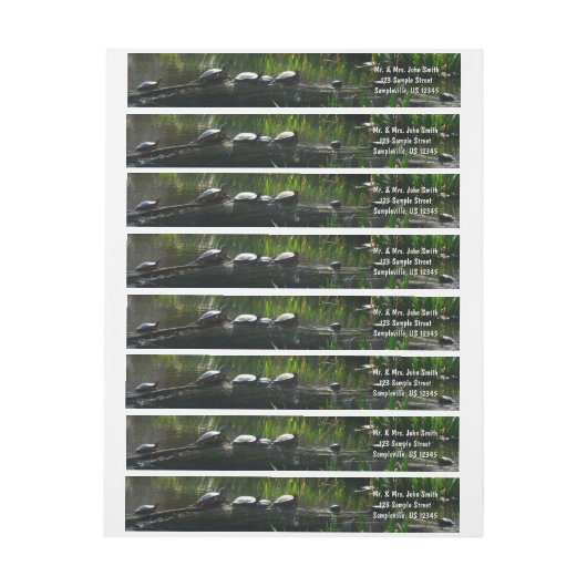 Reihe von Schildkröten Grünes Foto (Bogen)