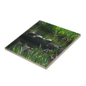 Reihe von Schildkröten Grünes Foto Fliese (Seite)