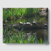 Reihe von Schildkröten Grünes Foto Gästebuch (Rückseite)