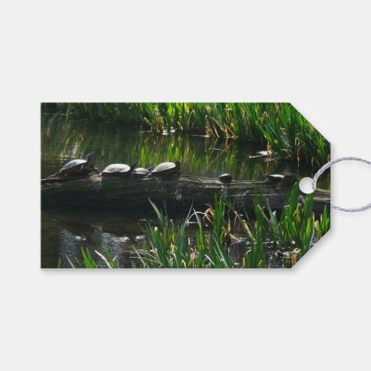 Reihe von Schildkröten Grünes Foto Geschenkanhänger (Vorderseite (Horizontal))