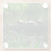 Reihe von Schildkröten Grünes Foto Glasuntersetzer (Rückseite)