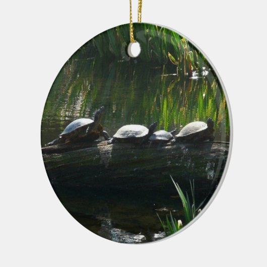 Reihe von Schildkröten Grünes Foto Keramikornament (Links)