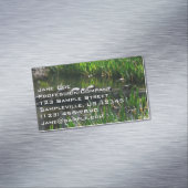 Reihe von Schildkröten Grünes Foto Magnetische Visitenkarte (Beispiel)