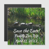 Reihe von Schildkröten Grünes Foto Magnetkarte (Vorne/Hinten)