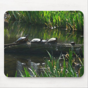 Reihe von Schildkröten Grünes Foto Mousepad