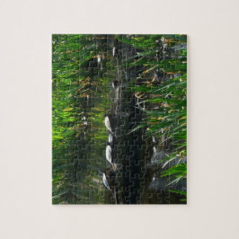 Reihe von Schildkröten Grünes Foto Puzzle