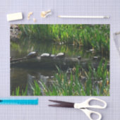 Reihe von Schildkröten Grünes Foto Seidenpapier (Handwerk)