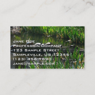 Reihe von Schildkröten Grünes Foto Visitenkarte