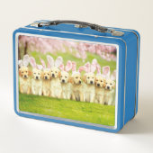 Reihe von Welpen-Häschen Metall Brotdose (Rückseite)