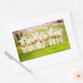 Reihe von Welpen-Häschen Rechteckiger Aufkleber (Umschlag)