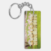 Reihe von Welpen-Häschen Schlüsselanhänger (Vorderseite links)