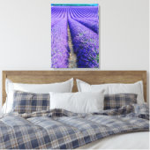 Reihen der Lavendel, Provence, Frankreich Leinwanddruck (Insitu (Schlafzimmer))
