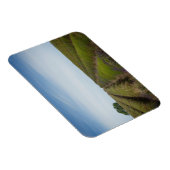 Reihen des Lavendels nach der Ernte des Rechteckma Magnet (Rechte Seite)