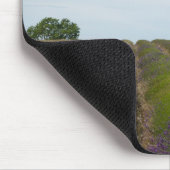 Reihen des Lavendels nach Ernte mousepad (Ecke)