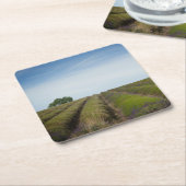 Reihen des Lavendels nach Ernte-Untersetzer Rechteckiger Pappuntersetzer (angewinkelt)