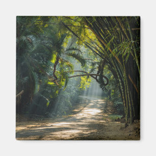 Reihen von Bamboo Magnet