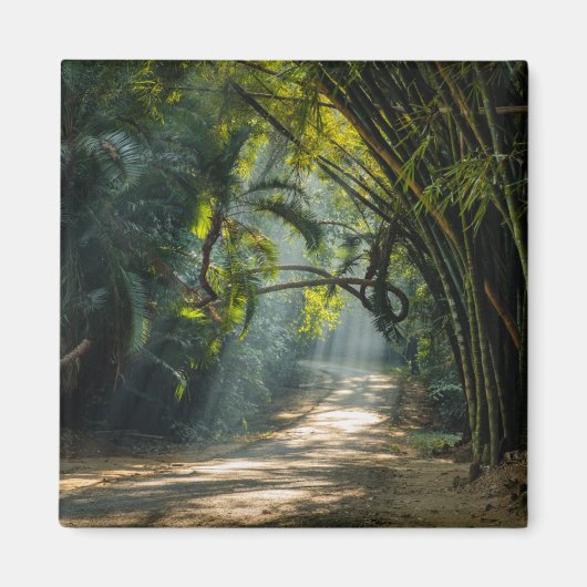 Reihen von Bamboo Magnet (Vorne)