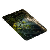 Reihen von Bamboo Magnet (Rechte Seite)