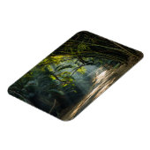 Reihen von Bamboo Magnet (Linke Seite)