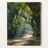 Reihen von Bamboo Planer (Rückseite)