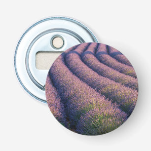 Reihen von Lavendel in der Provence Flaschenöffner