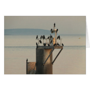 Reihenfolge absuchen