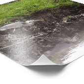 Reiher bereit zum Angriff Fotodruck (Ecke)