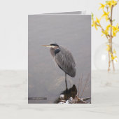 Reiher, der den Sturm gegenüberstellt Karte (Gelbe Blume)