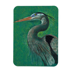 Reiher Magnet