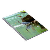 Reiher Notizblock (Rechte Seite)