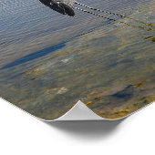 Reiher Poster (Ecke)