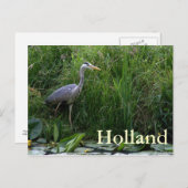 Reiher Postkarte (Vorne/Hinten)
