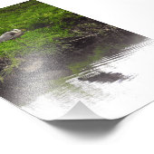 Reiher Spiegelung Fotodruck (Ecke)