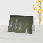 Reiher über ruhiger Wasser-Gruß-Karte Karte (Gelbe Blume)