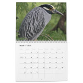 Reiher und Reiher Kalender (Mär 2026)