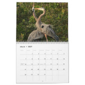 Reiher Vogel 2027 Kalender (Mär 2027)