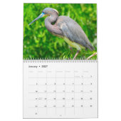 Reiher Vogel 2027 Kalender (Jan 2027)