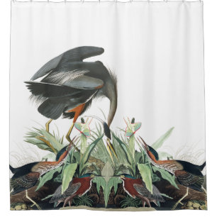 Reiher-Vögel Audubon Tier-Teich-Duschvorhang Duschvorhang
