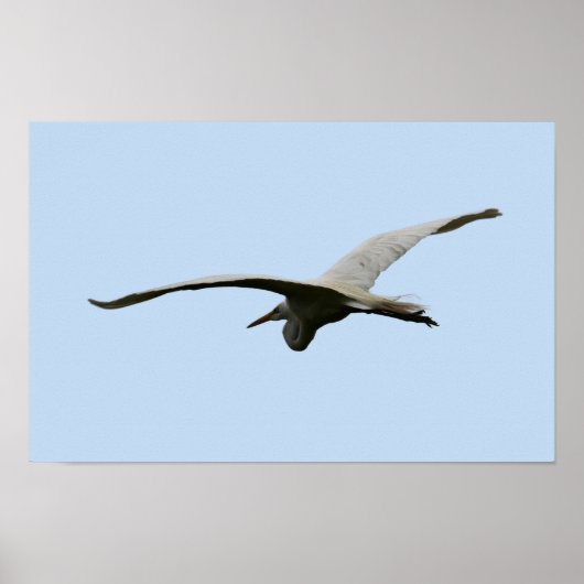 Reiher-Vogel-Flugposter Poster (Vorne)