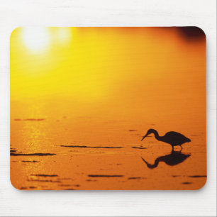 Reihersilhouette bei Sonnenuntergang, Florida Mousepad
