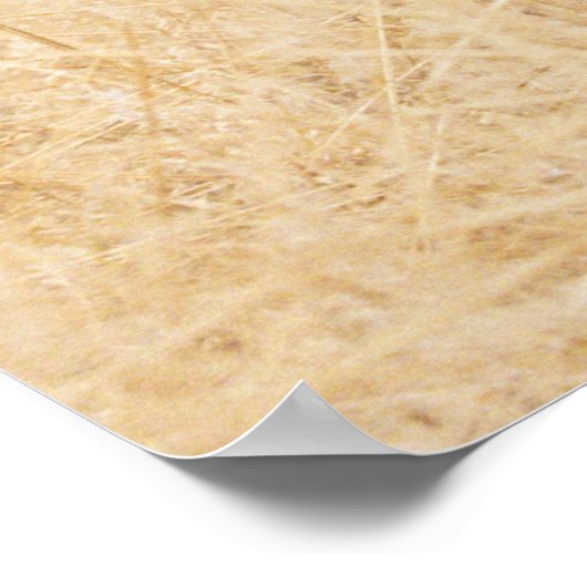 Reiki Principles with Yogini Poster (Ecke)