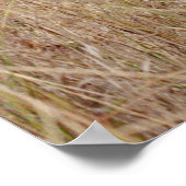 Reiki-Prinzipien mit Meditation der Frau Poster (Ecke)