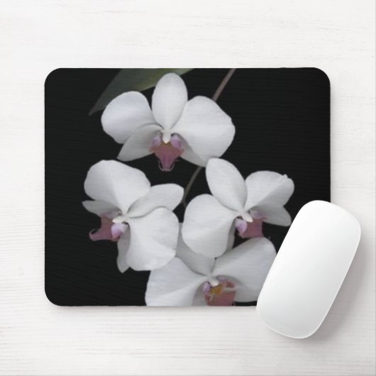 Rein Mousepad (Mit Mouse)